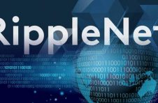 自2019年11月以来，Ripple已在其结算平台中添加了50多家金融机构