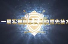 金盾国际-大数据信息安全解决之道