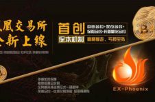 凤凰双仓+保险+托管量化的合约保障形式是行业的一种颠覆吗