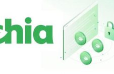火了解答Chia(奇亚)的一些常见问题