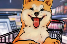 Shiba Inu 因 Elon Musk 的神秘背书和 Coinbase 上市而上涨 40%