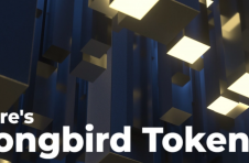 Flare 的 Songbird 代币现已通过机构级托管整合