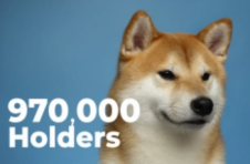 Shiba Inu 创下 970,000 名持有者的新纪录