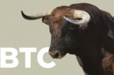 加密分析师分享了 BTC Bull Run 高峰的指标