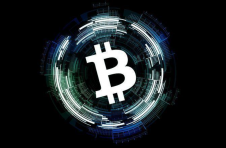 稳健收益新选择：Tomato Wallet 与 Bitget Wallet 对比，哪个更适合你的理财需求？